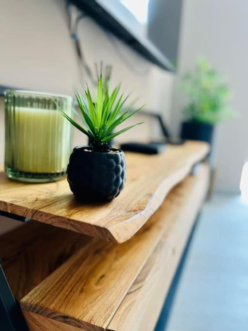 Appartement Tropical Liège Zewnętrze zdjęcie